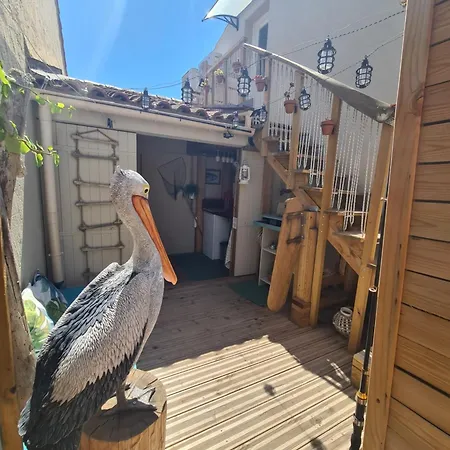 Haut De Villa, Terrasse, Barbecue, Velos 아파트